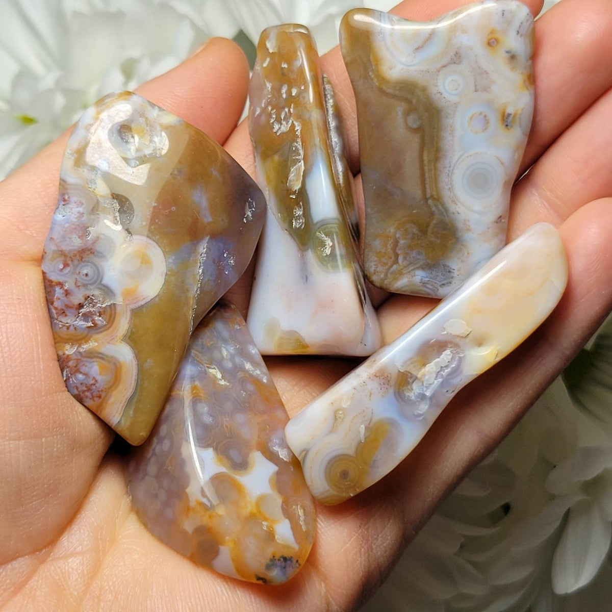 Vein 8 Ocean Jasper RARE