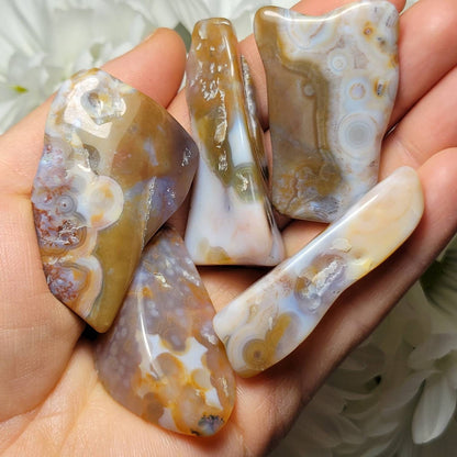 Vein 8 Ocean Jasper RARE