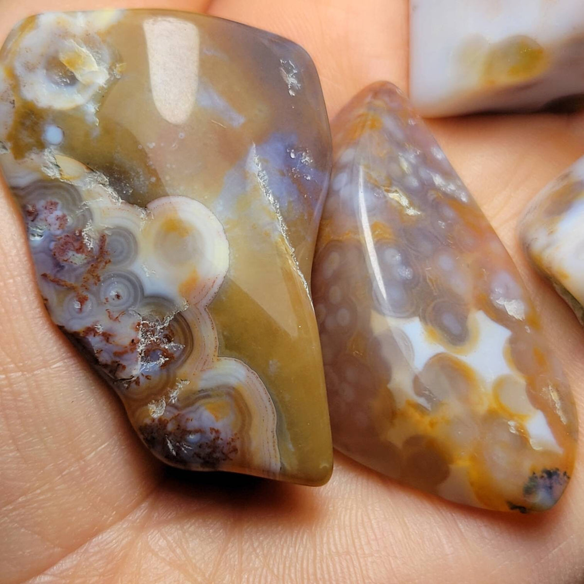 Vein 8 Ocean Jasper RARE