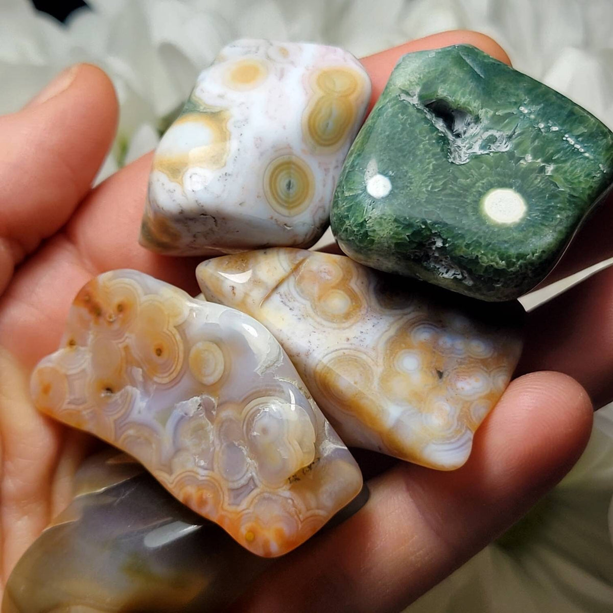 Vein 8 Ocean Jasper RARE
