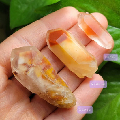 Amphibole Angel Phantom Quartz, Raw Brazilian Crystal Point, Amphibole Crystals