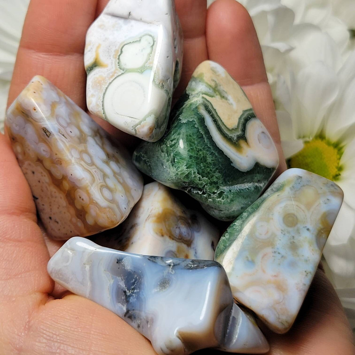 Vein 8 Ocean Jasper RARE