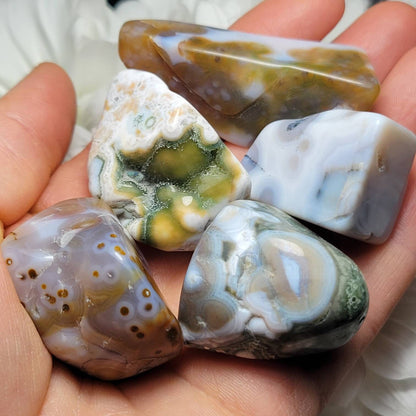 Vein 8 Ocean Jasper RARE