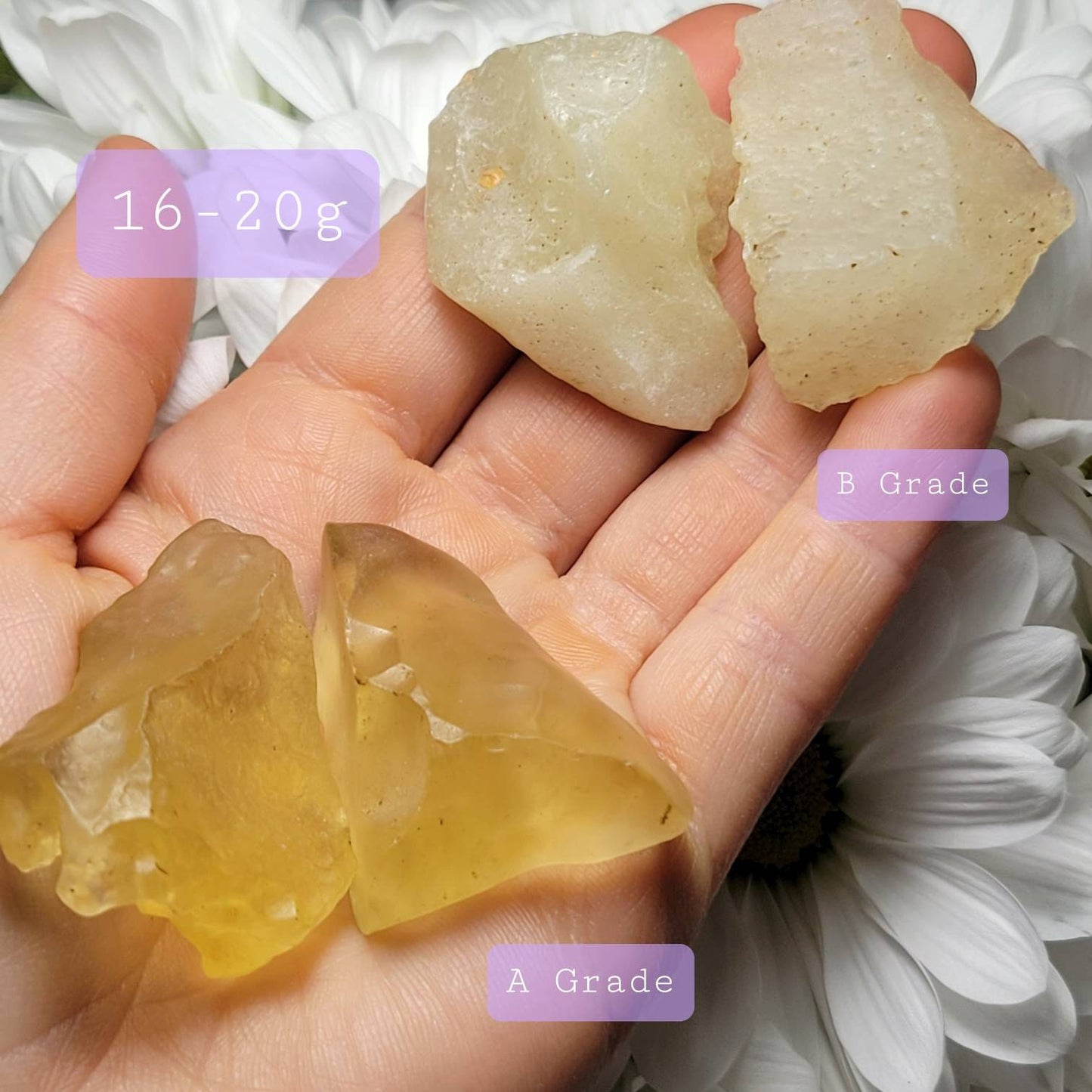 Libyan Desert Glass