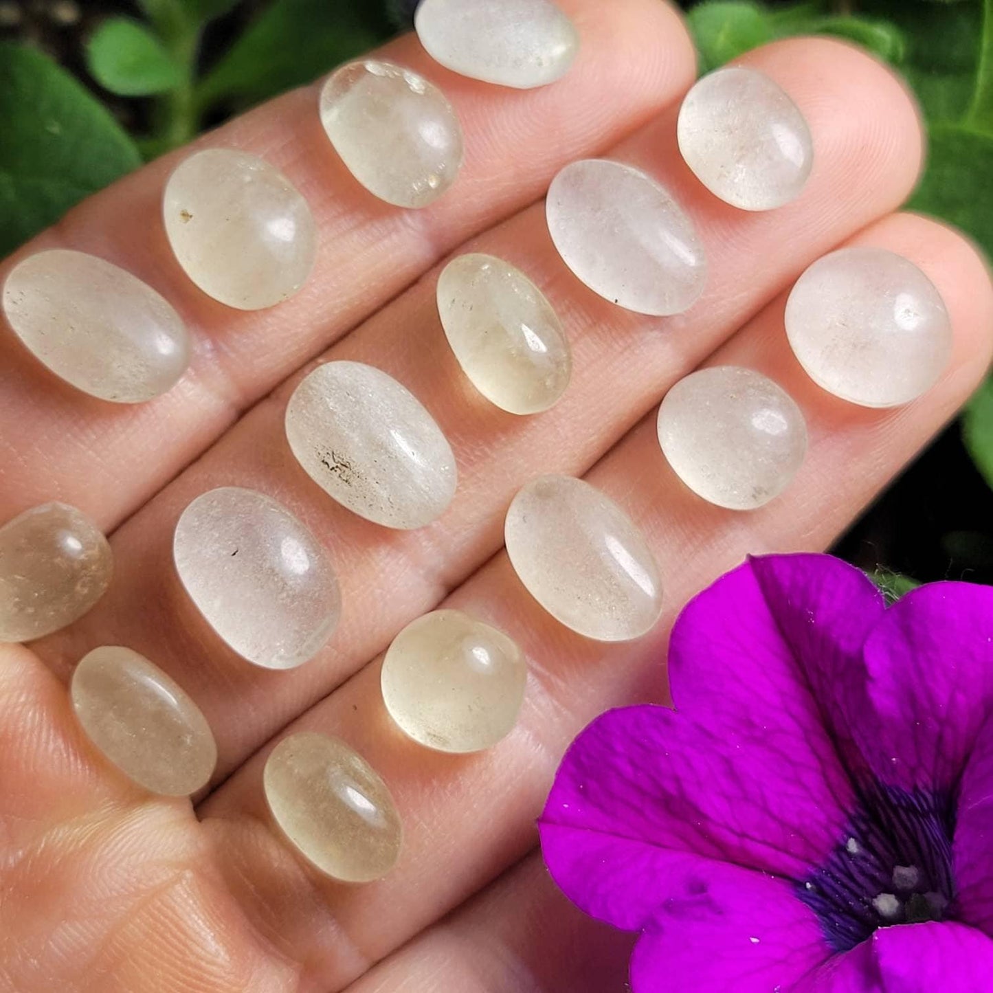 Libyan Desert Glass