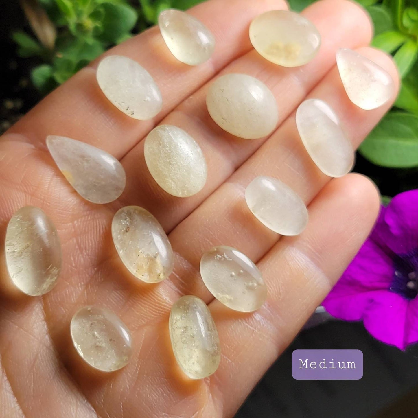 Libyan Desert Glass