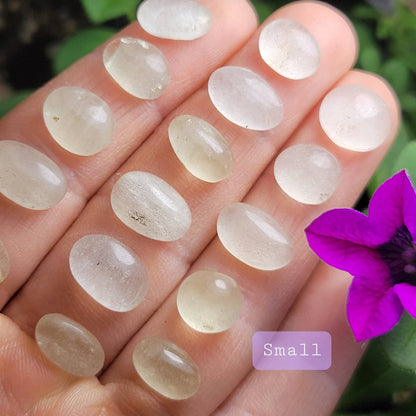 Libyan Desert Glass