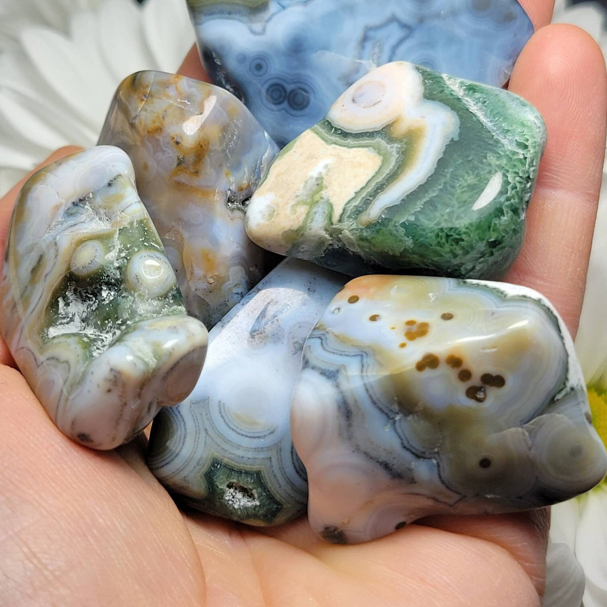 Vein 8 Ocean Jasper RARE