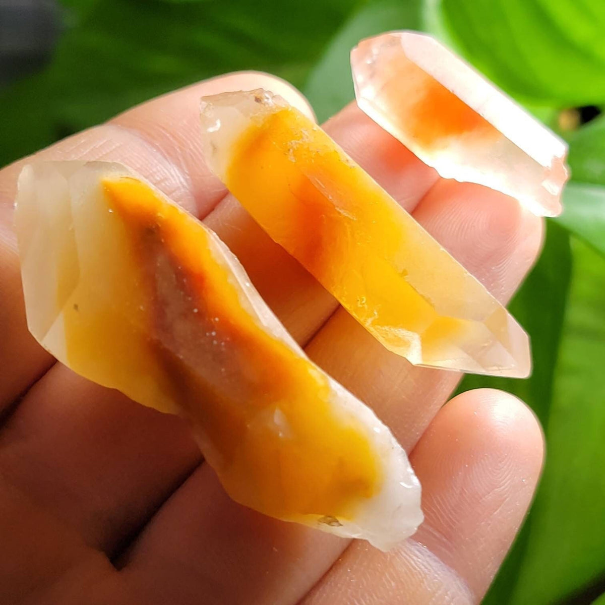Amphibole Angel Phantom Quartz, Raw Brazilian Crystal Point, Amphibole Crystals