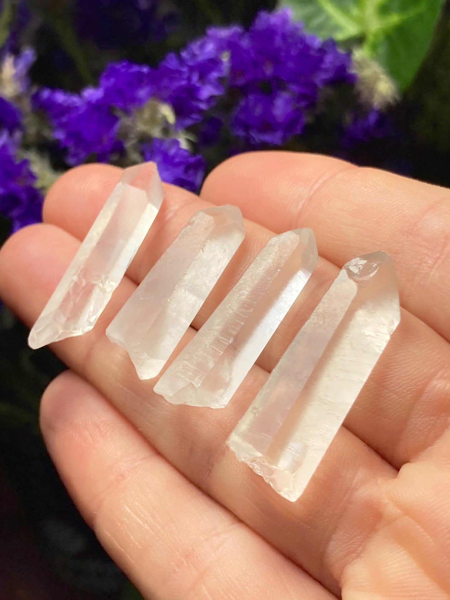 Lemurian Seed Quartz
