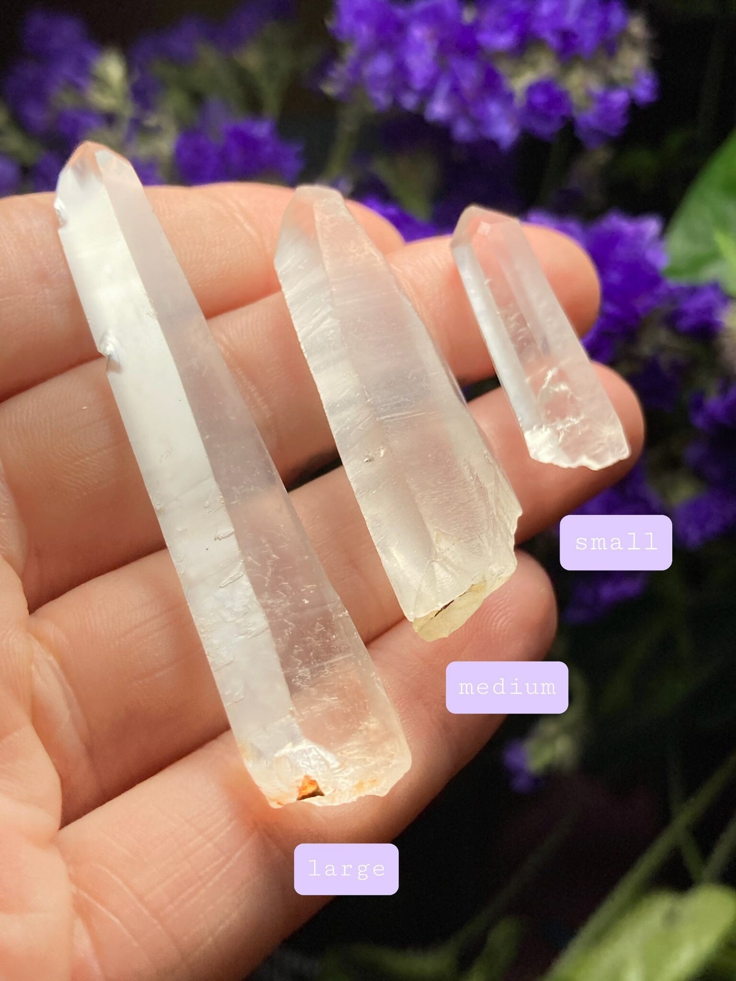 Lemurian Seed Quartz