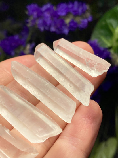 Lemurian Seed Quartz