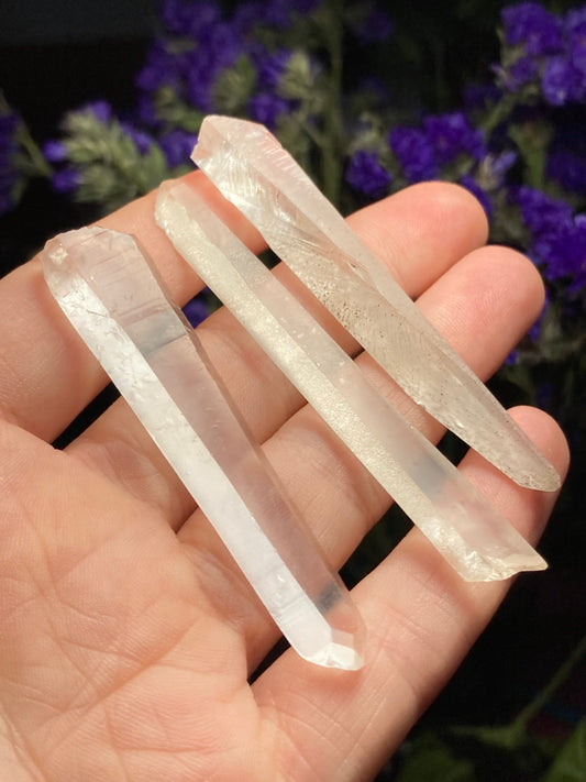 Lemurian Seed Quartz