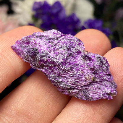 RARE Iowaite Crystal