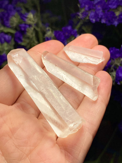 Lemurian Seed Quartz