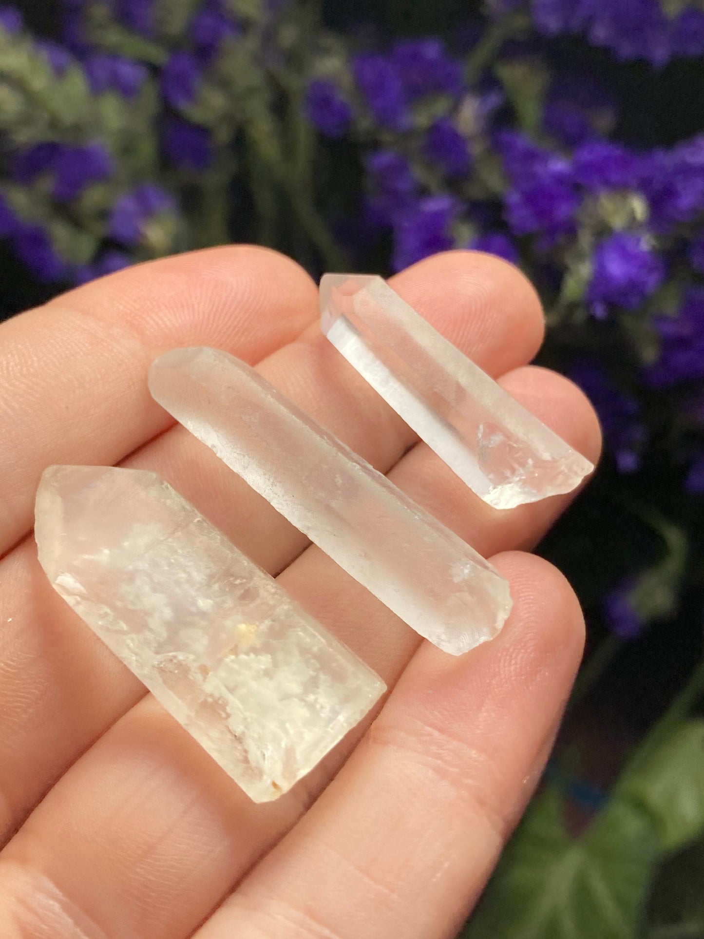 Lemurian Seed Quartz