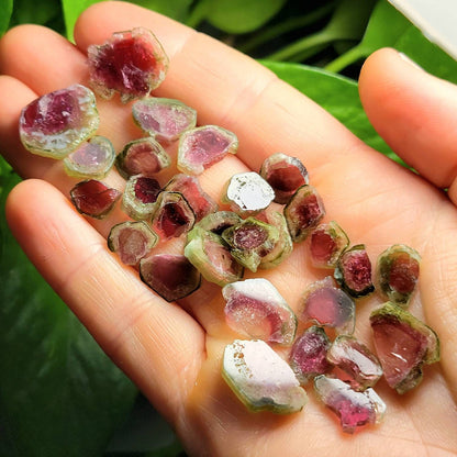 Watermelon Tourmaline Pendant