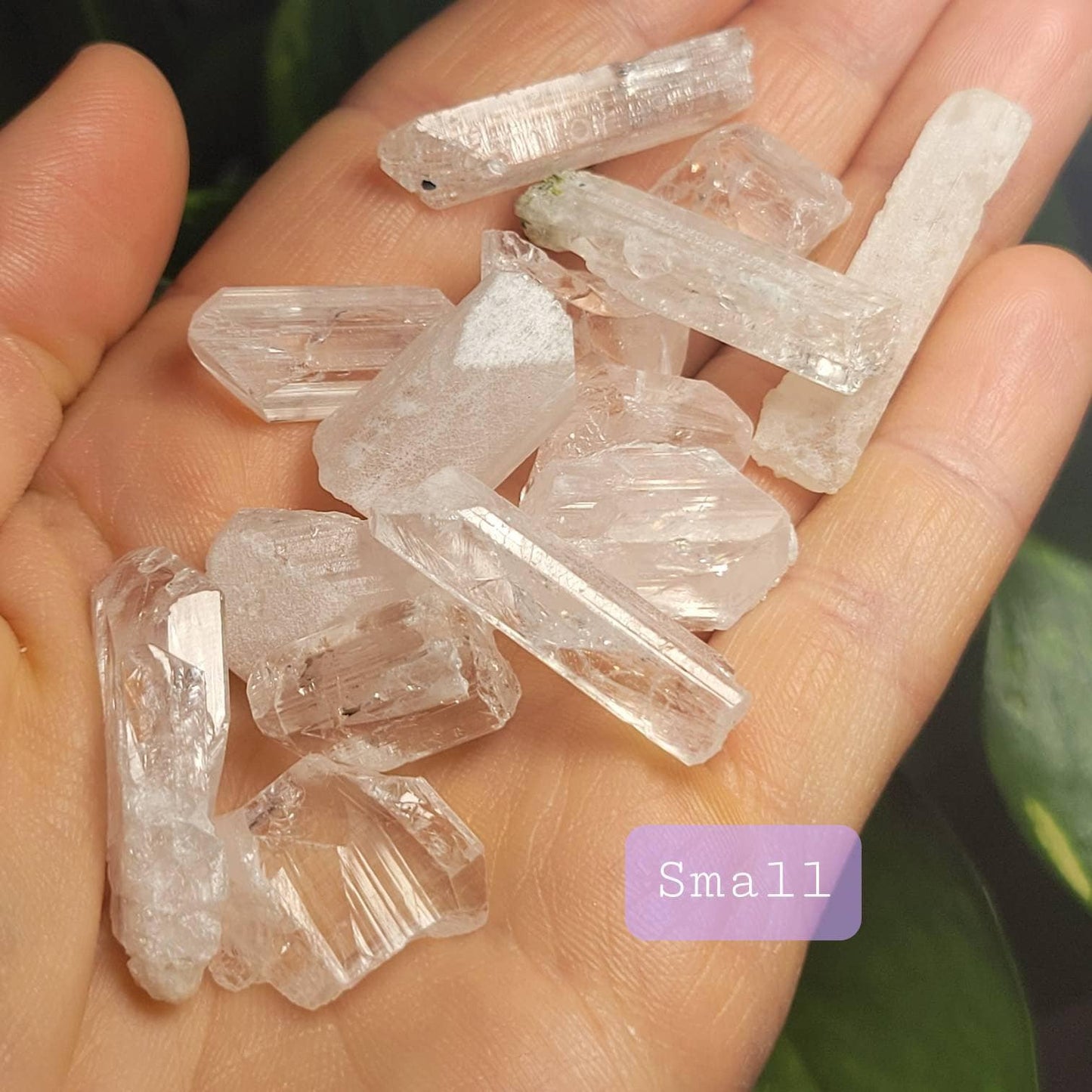 Danburite Crystal