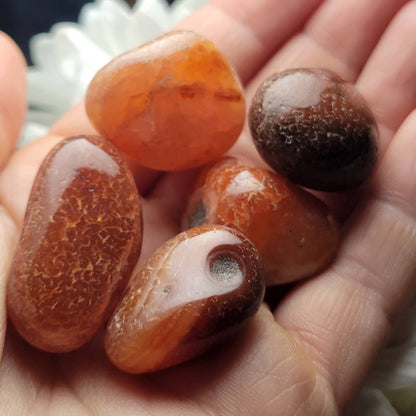 Snakeskin Carnelian Crystal