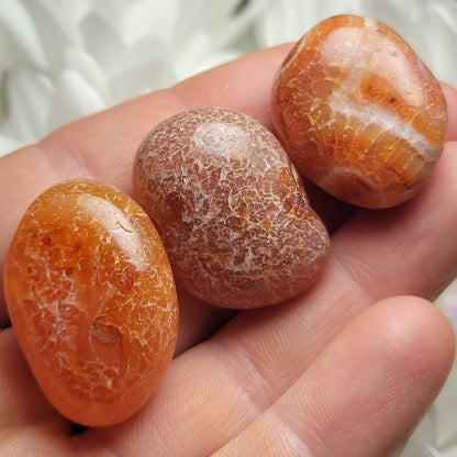 Snakeskin Carnelian Crystal