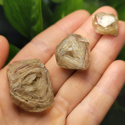 Enhydro Petroleum Quartz
