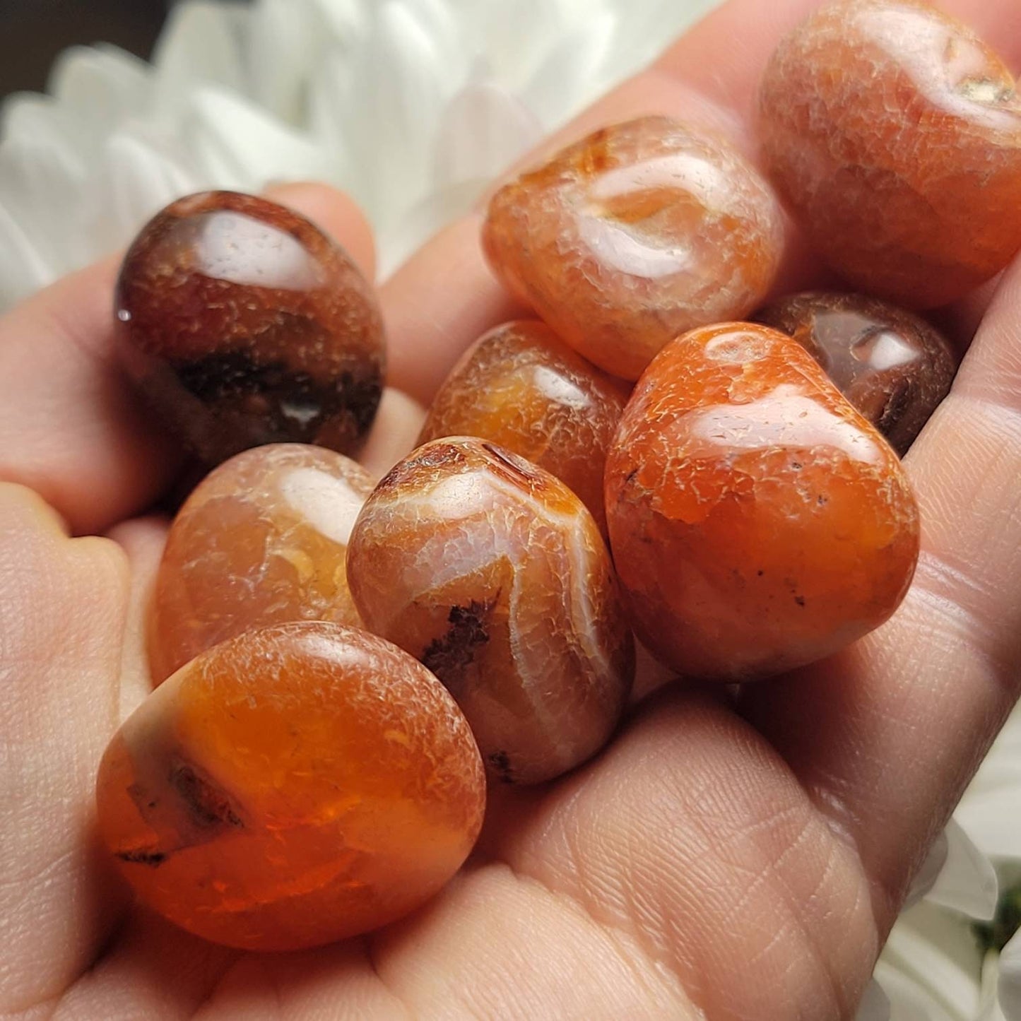 Snakeskin Carnelian Crystal