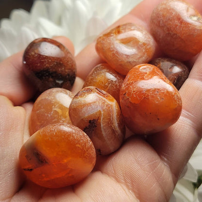 Snakeskin Carnelian Crystal