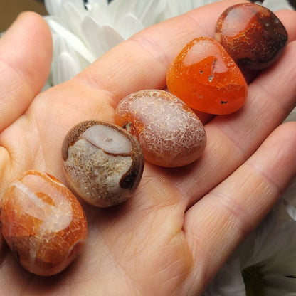 Snakeskin Carnelian Crystal