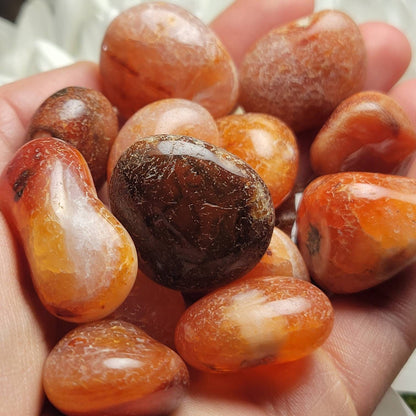 Snakeskin Carnelian Crystal