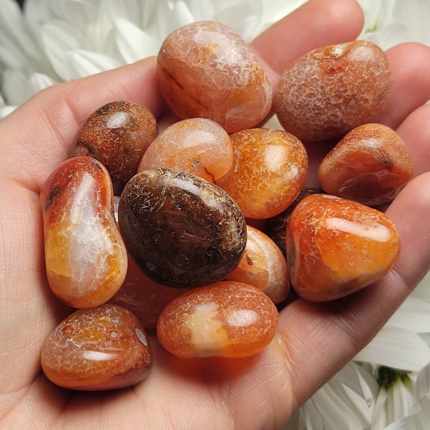 Snakeskin Carnelian Crystal