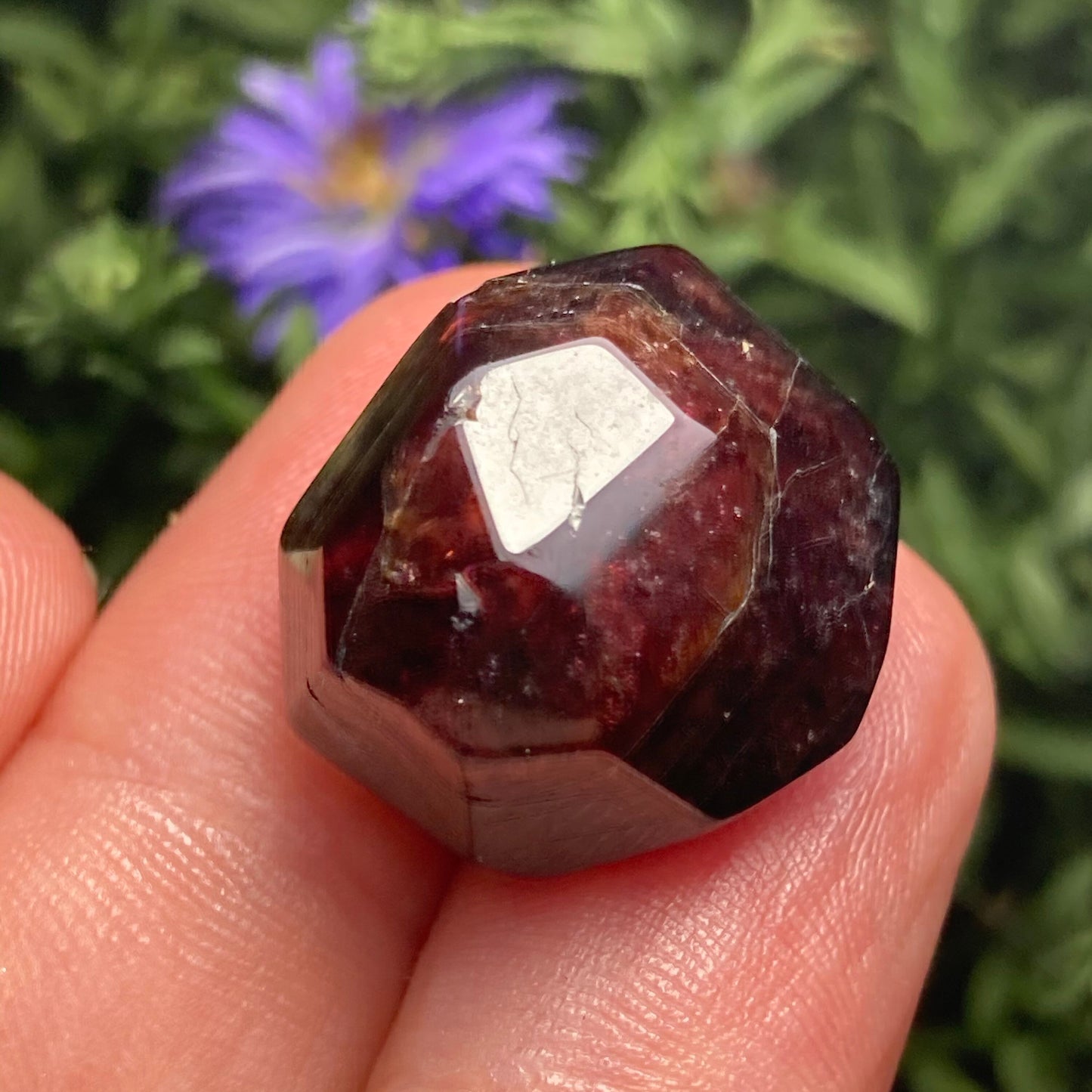 Polished Garnet