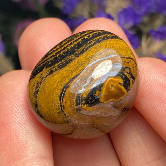 Tiger Iron