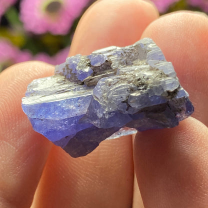 HUGE Tanzanite Crystal / Raw Tanzanite / Synergy 12 / Purple Tanzanite / Tanzanite Stone / Natural Tanzanite / Tanzanite Crystal