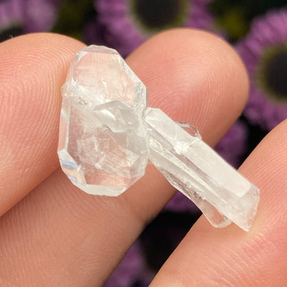 Faden Quartz Crystal