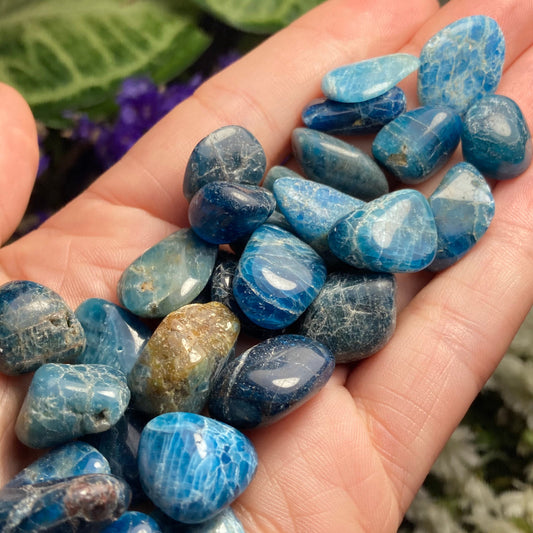 Blue Apatite Crystal