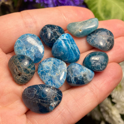 Blue Apatite Crystal