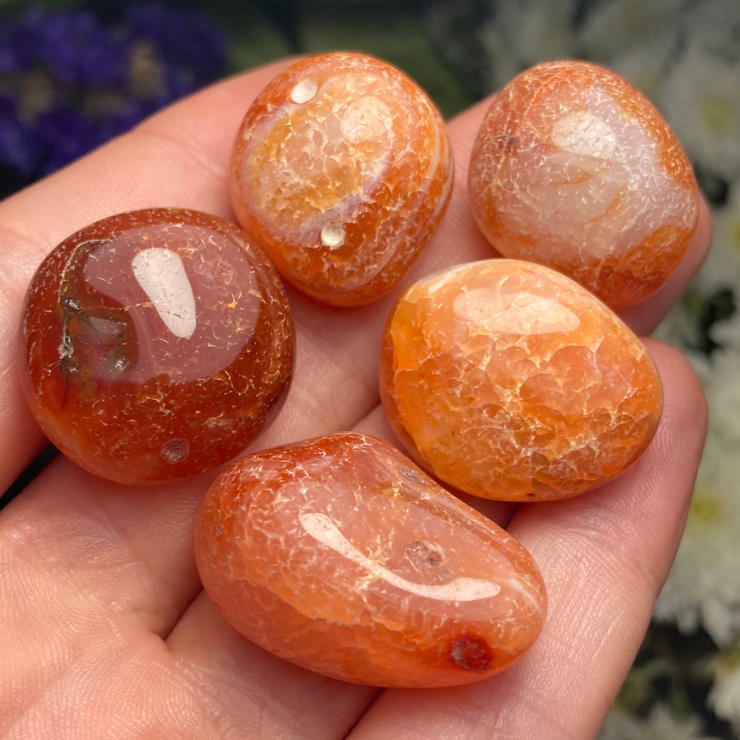 Snakeskin Carnelian Crystal