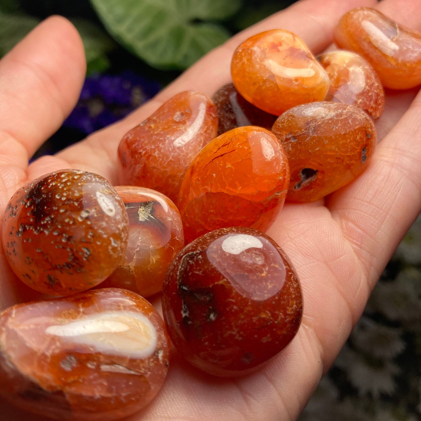 Snakeskin Carnelian Crystal