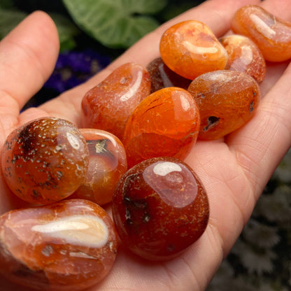 Snakeskin Carnelian Crystal