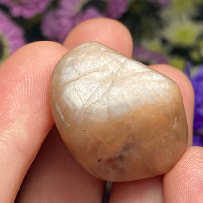 Chocolate Moonstone Crystal