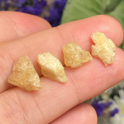 Agni Gold Danburite Crystal