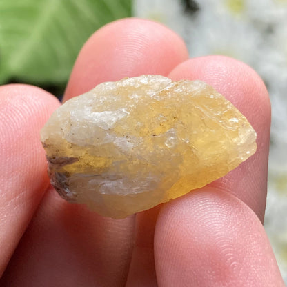 Agni Gold Danburite Crystal