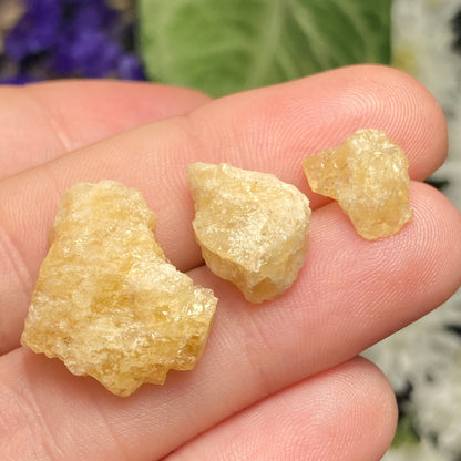 Agni Gold Danburite Crystal