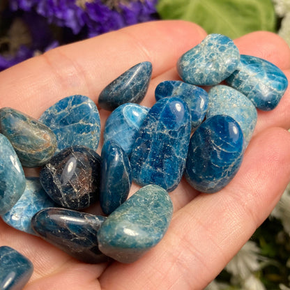 Blue Apatite Crystal