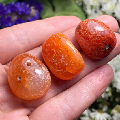 Snakeskin Carnelian Crystal