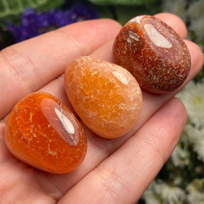 Snakeskin Carnelian Crystal
