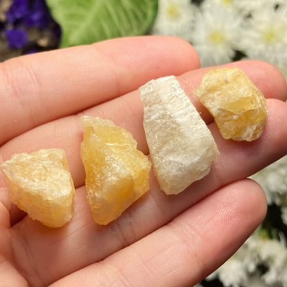 Agni Gold Danburite Crystal