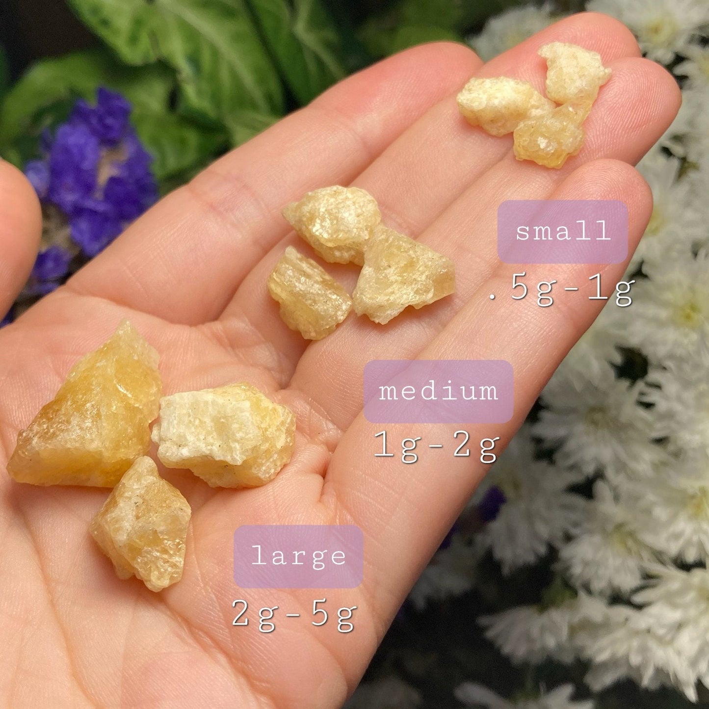 Agni Gold Danburite Crystal