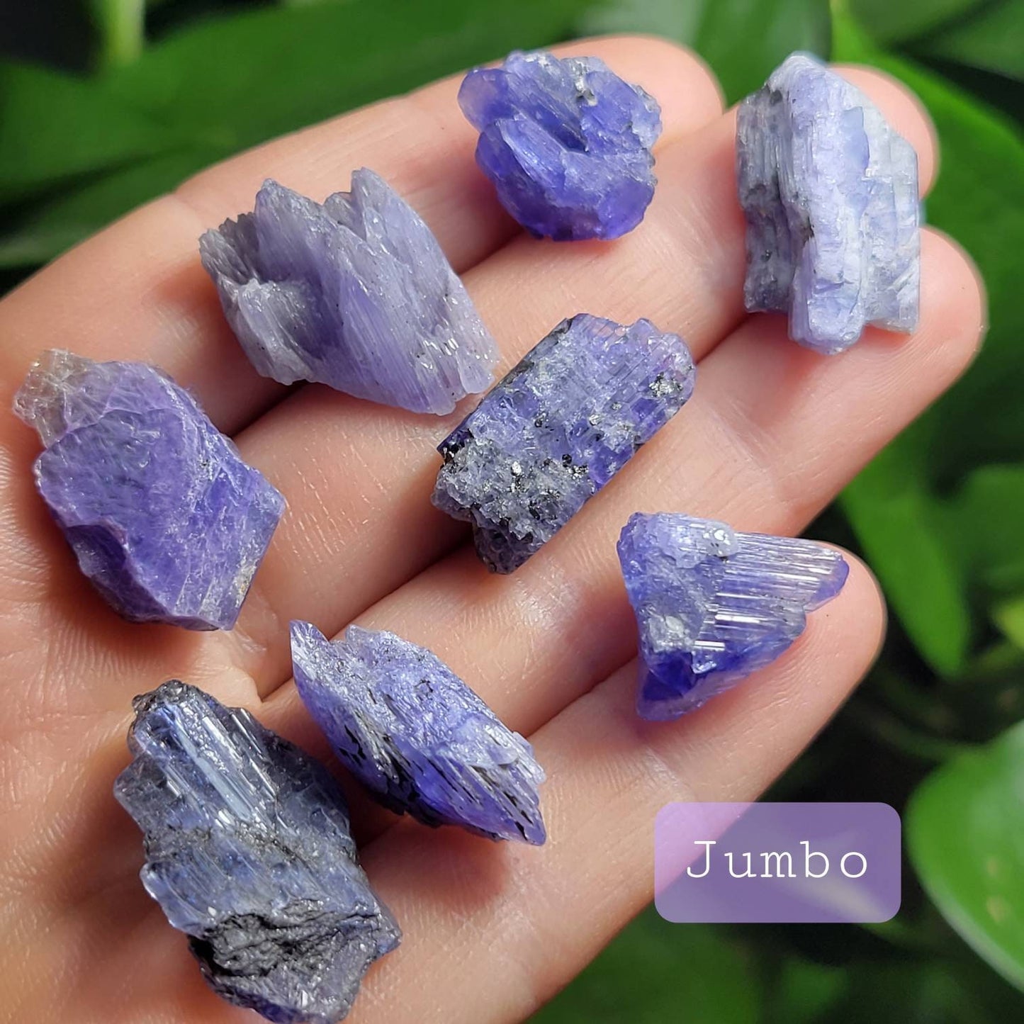 Tanzanite Crystal Specimen
