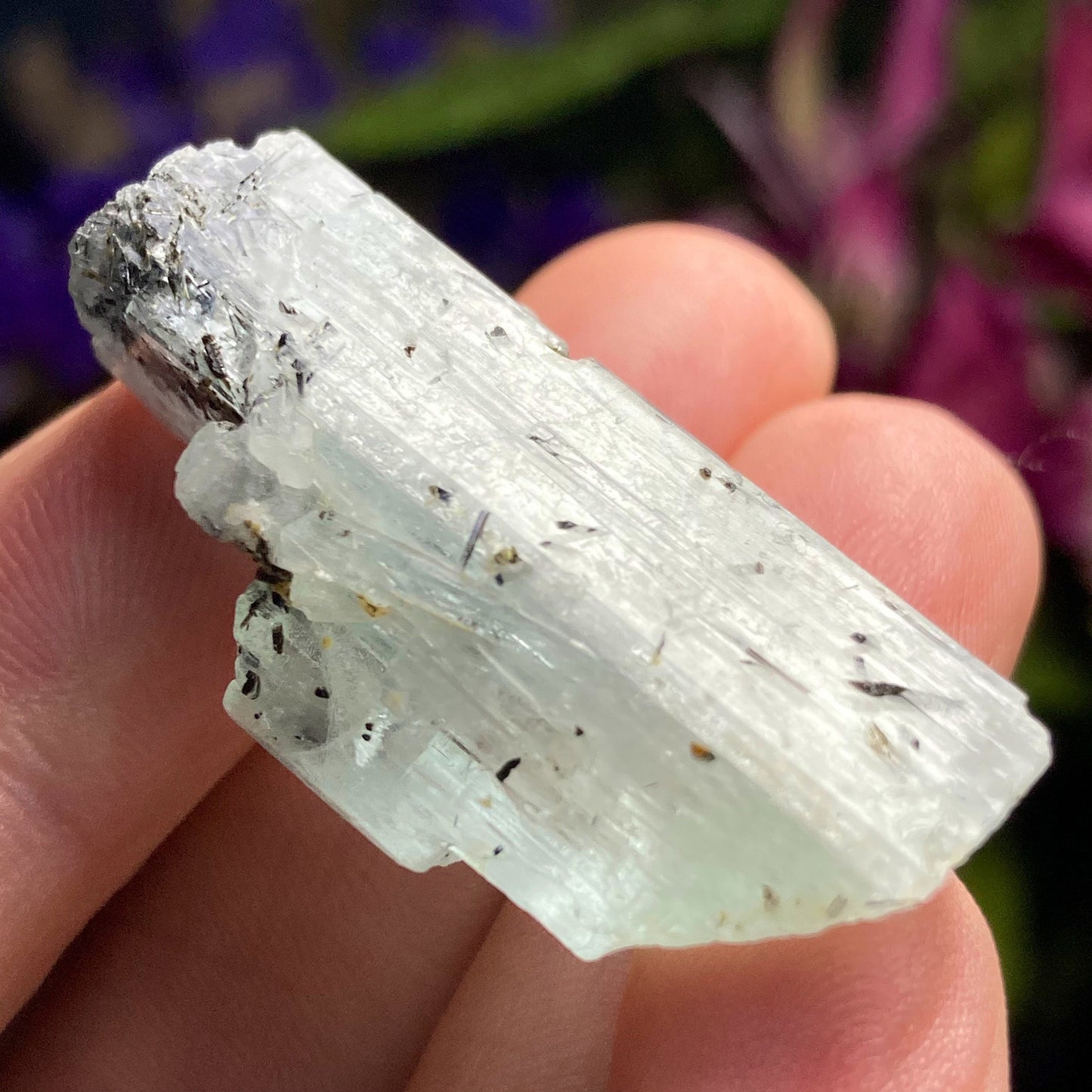 Black Tourmaline in Aquamarine Crystal